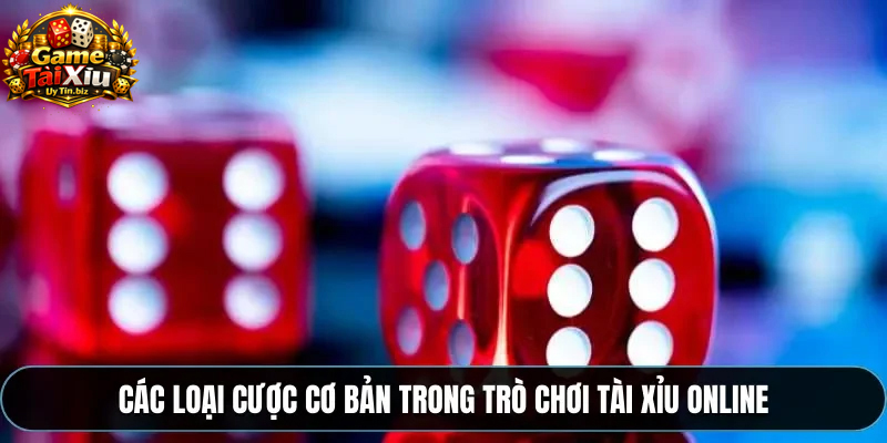 Chọn Tài nếu nghĩ số bàn thắng cao hơn mốc kèo